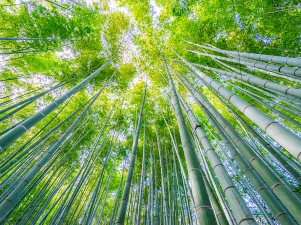 Kamakura COCON Hotel Bagian luar foto
